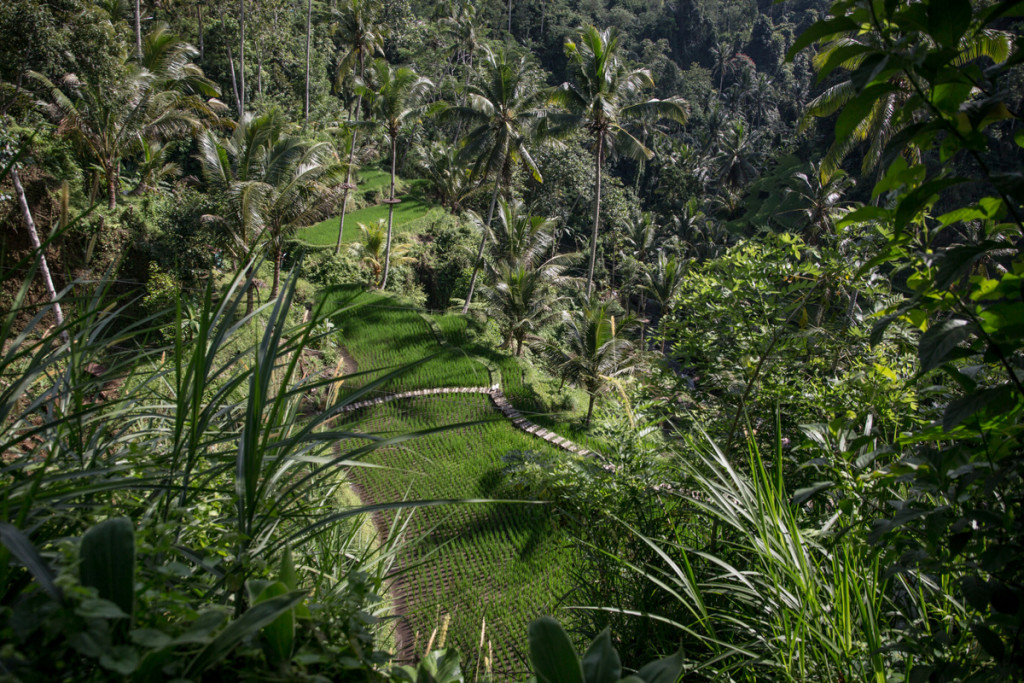 2024_majus_Gunung_Kawi_Pura_Tirta_szines_0003